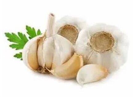 Methods of treating mushrooms with garlic