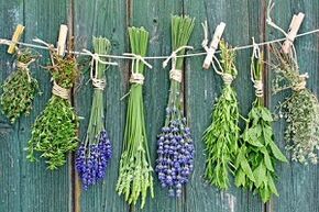 Herbal treatment for toenail fungus